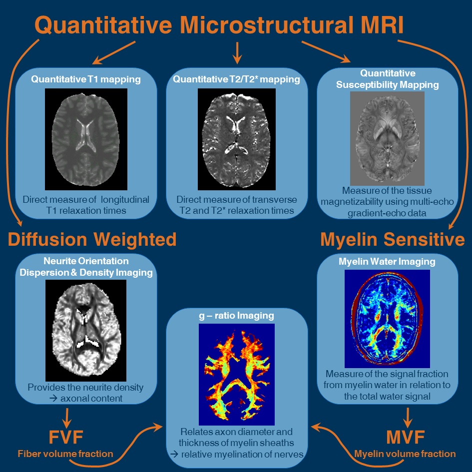 Neuroscientific MR-Physics 32105c.png, 22 kB